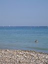 IMG_6205