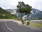 IMG_6226