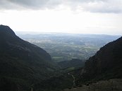 IMG_6233